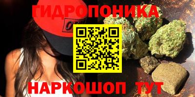МДПВ Ачхой-Мартан